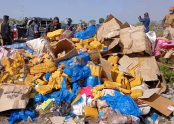 Lutte contre la drogue et des produits périmés à Kankan : 800 kg de chanvre indien et 125 kg de médicaments périmés incinérés à Kobikoro
