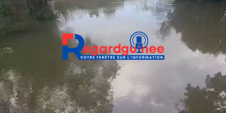 Kankan : Un adolescent de 15 ans meurt par noyade dans une rivière utilisée pour la lessive