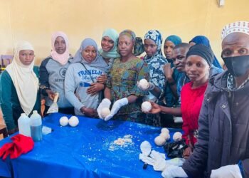 Développement local : l’ONG ‘’Mali Chez Moi’’ initie un projet de formation pour les ressortissant