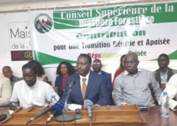 Drame au stade de N&rsquo;zérékoré : le Conseil Supérieur de la Diaspora Forestière demande l&rsquo;ouverture d&rsquo;une enquête indépendante 