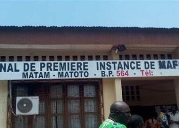 Infanticide à Conakry : 20 ans de réclusion criminelle requis contre Adama Sylla, mère de cinq enfants