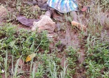 Sonfonia : un enfant emporté par les eaux à Samatran Fassa, le corps retrouvé ce mardi matin