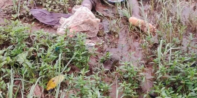 Sonfonia : un enfant emporté par les eaux à Samatran Fassa, le corps retrouvé ce mardi matin