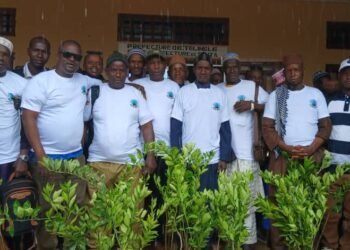 Sinta/Télimélé : L&rsquo;ADSI lance une campagne de reboisement de 110 plants fruitiers dans 11 districts