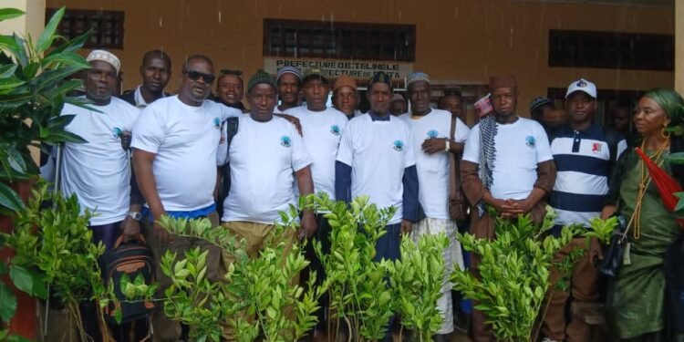 Sinta/Télimélé : L&rsquo;ADSI lance une campagne de reboisement de 110 plants fruitiers dans 11 districts