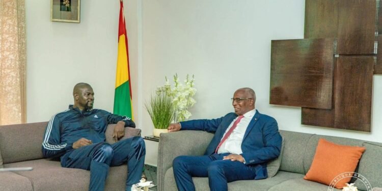 Environnement : La délocalisation de la décharge de Dar-es-Salam au menu des échanges entre Général Doumbouya Bah Oury