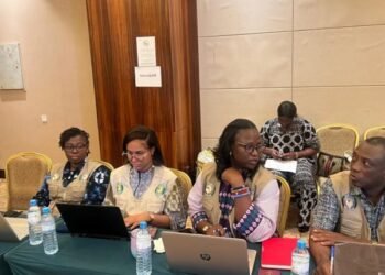 Présidentielle du 28 décembre : la CEDEAO déploie une mission d’observation électorale à moyen terme en Guinée