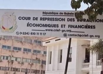 Affaire du Parc urbain de Conakry : l’avocat de Videri dénonce de graves irrégularités devant la CRIEF 