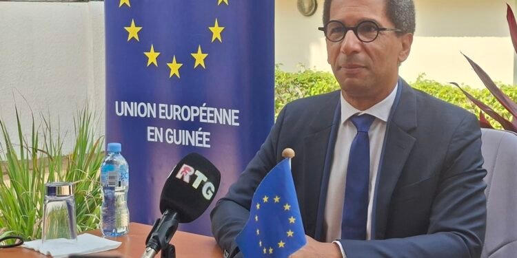 Guinée : l’Union européenne déplore la dissolution de 40 partis politiques et appelle à des élections inclusives