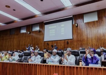 Guinée : le CNT adopte le cadre législatif du programme de développement Simandou 2040