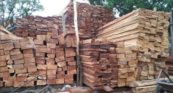 Guinée : le gouvernement suspend les activités de coupe, d’importation et de transport du bois jusqu’au 30 septembre