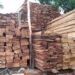 Guinée : le gouvernement suspend les activités de coupe, d’importation et de transport du bois jusqu’au 30 septembre