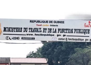 Fonction publique : la Guinée annonce le recrutement de 20 000 nouveaux agents