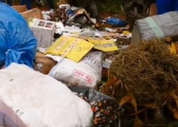 Forécariah : près de 30 tonnes de produits prohibés incinérées par les autorités