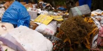 Forécariah : près de 30 tonnes de produits prohibés incinérées par les autorités