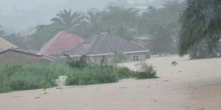 Coyah : les fortes pluies provoquent des inondations dans plusieurs quartiers